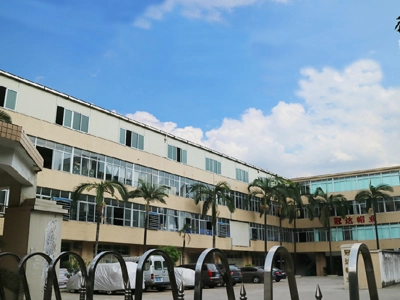 2024 ACE Company's Profile