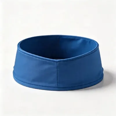 Blue Visor Hat