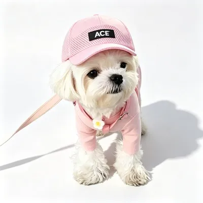 breathable dog cap 5