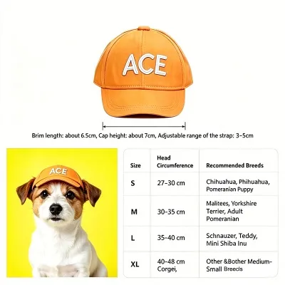 dog baseball cap 5