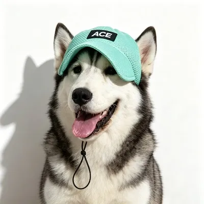 uv protection dog hat 6